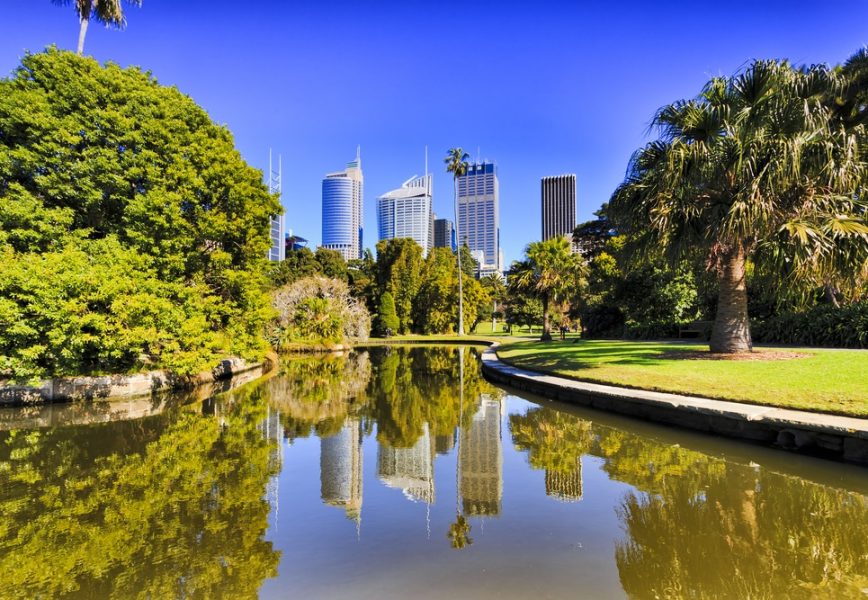 Sydney,City,Royal,Botanic,Garden,Pond,Reflecting,Cbd,Skyscrapers,Surrounded